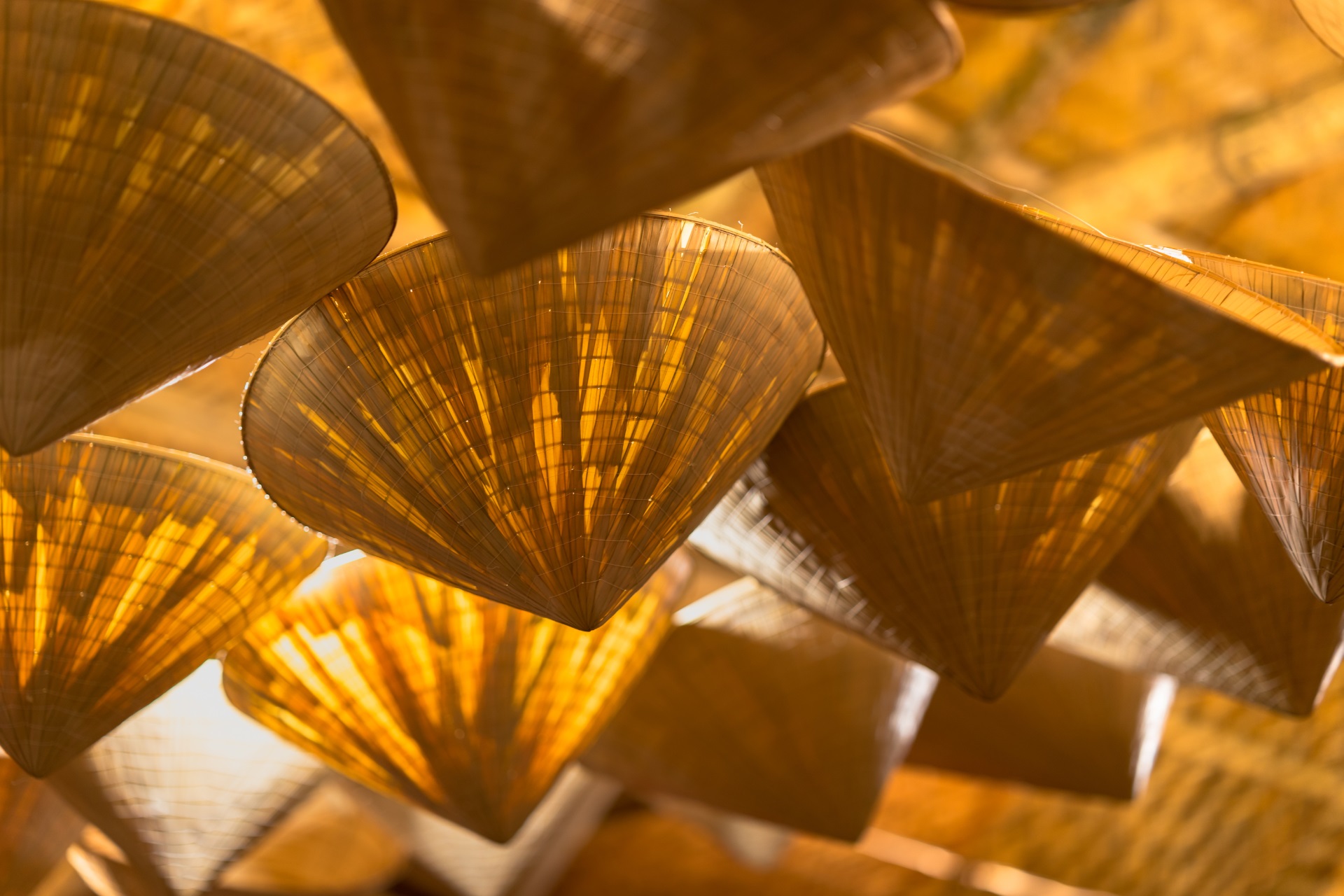 Vietnam Grand Discovery: A Journey Through Heritage, Nature &amp; Culture