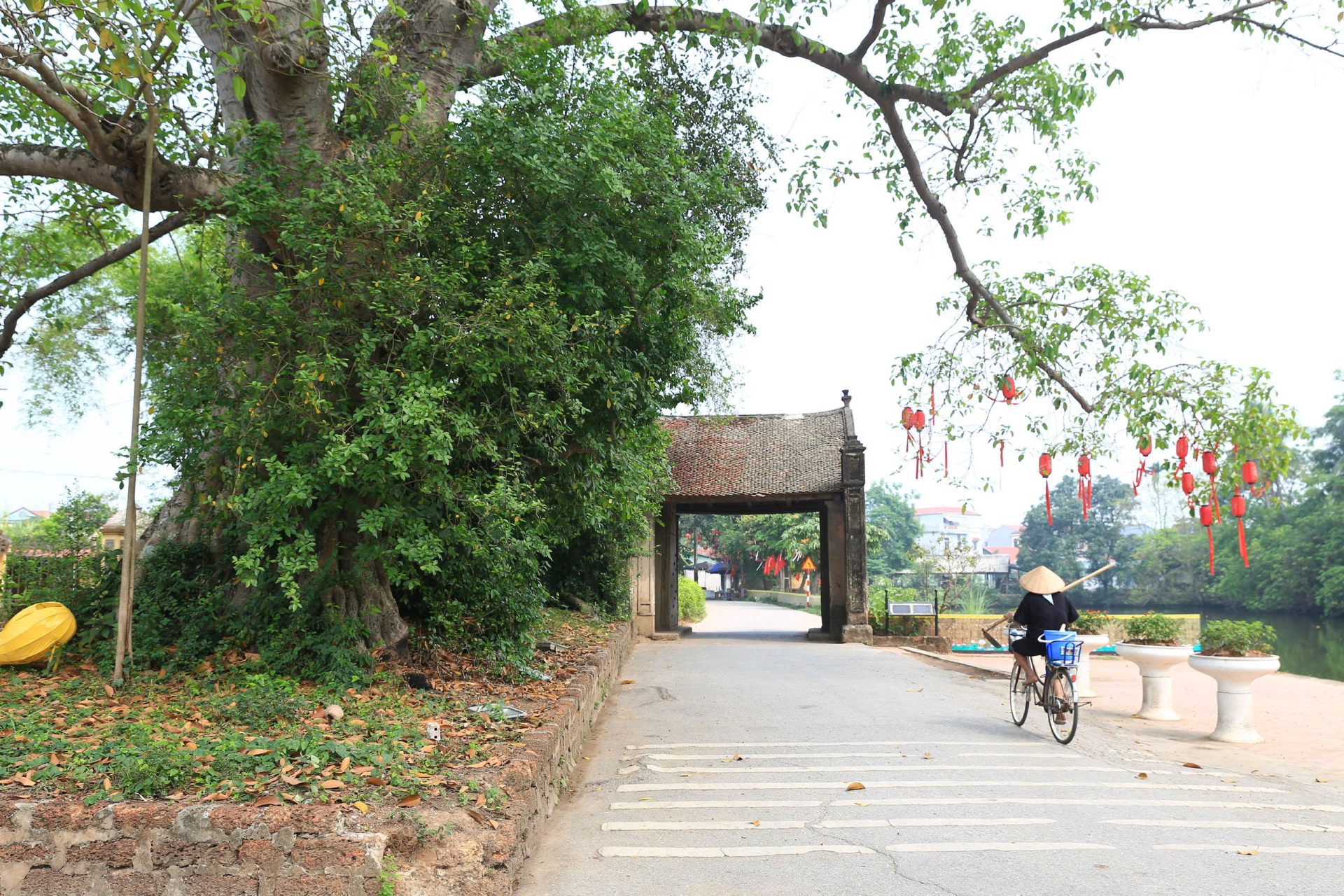 A Visit to Đường Lâm Ancient Village